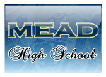  Mead Panthers Fleece Value Blanket with Strap | Mead High School  
