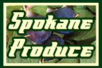  Spokane Produce Ladies' Non-Iron Button-Down Stripe Shirt | Spokane Produce  