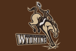  University of Wyoming 4 Ball Gift Set | University of Wyoming   