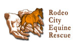  Rodeo City Equine Rescue Screen Printed 100% Cotton Long Sleeve T-Shirt | Rodeo City Equine Rescue  